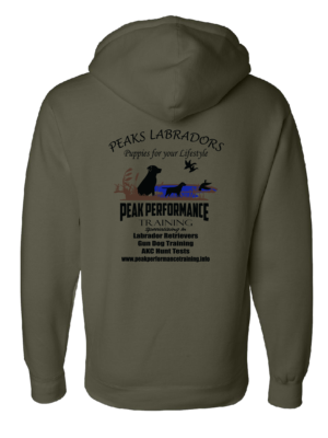Independent Trading Co. Heavyweight Hooded Sweatshirt - Image 5