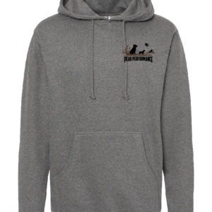 Independent Trading Co. Heavyweight Hooded Sweatshirt
