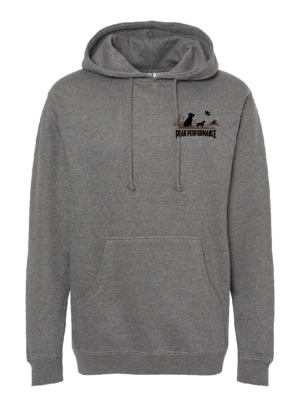 Independent Trading Co. Heavyweight Hooded Sweatshirt