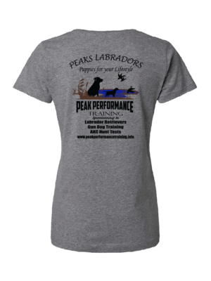 LAT Women's Fine Jersey V-Neck Tee - Image 5