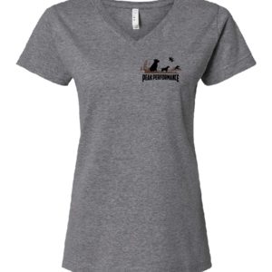 LAT Women's Fine Jersey V-Neck Tee