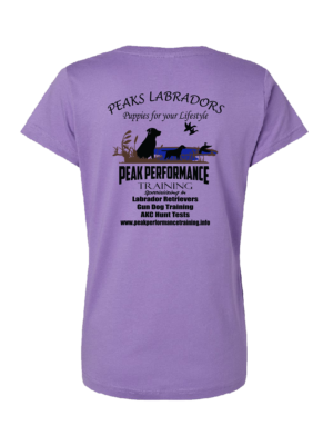 LAT Women's Fine Jersey V-Neck Tee - Image 3