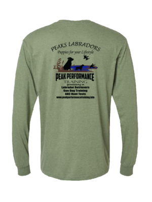 Gildan Softstyle® CVC Long Sleeve T-Shirt - Image 3