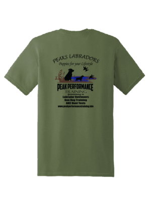Gildan Softstyle T-Shirt - Image 5