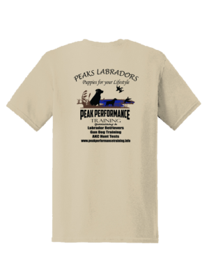 Gildan Softstyle T-Shirt - Image 3