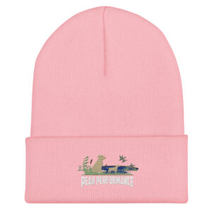 Cuffed Beanie