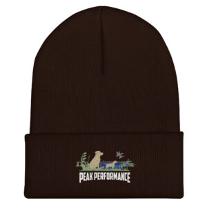 Cuffed Beanie - Image 3