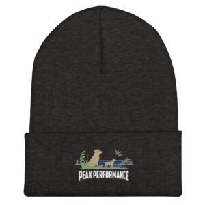 Cuffed Beanie - Image 4