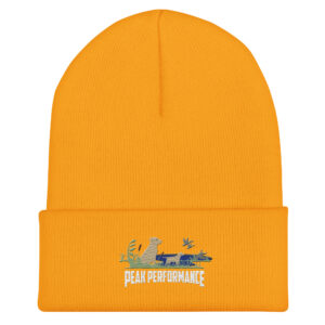 Cuffed Beanie - Image 5