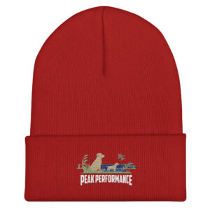 Cuffed Beanie - Image 9