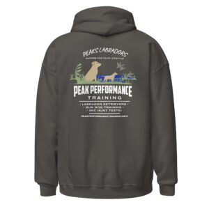 Unisex Hoodie - Image 4