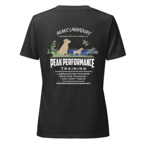 Women’s relaxed v-neck t-shirt - Image 5